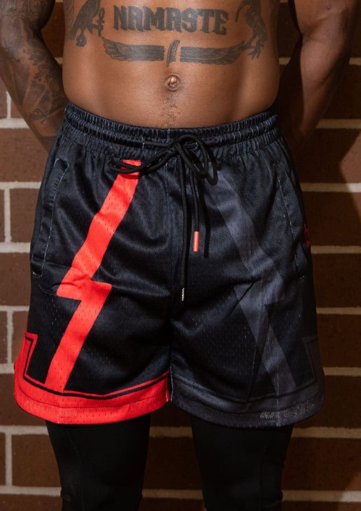 Sunset Rose — Mesh Shorts