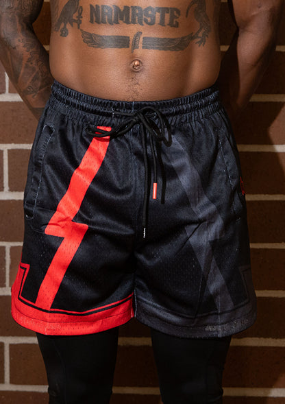 Sunset Rose — Mesh Shorts